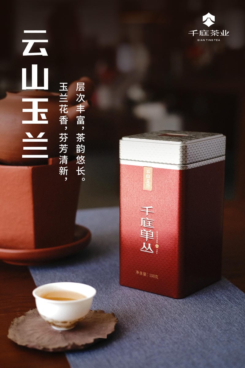 云山玉兰4.jpg