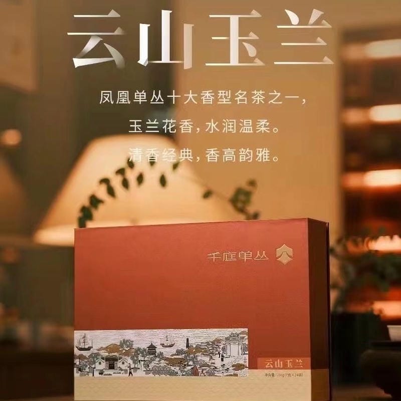 云山玉兰5.jpg