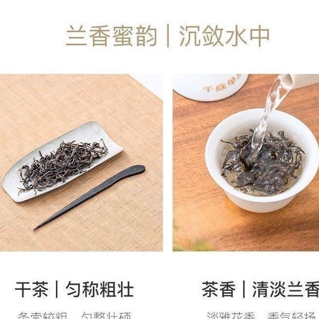 微信图片_20260228100149_82_245.jpg